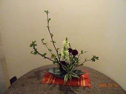 DSC09773-y10