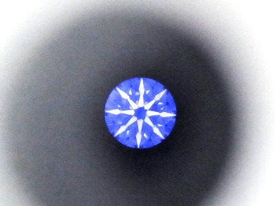 RIMG3731