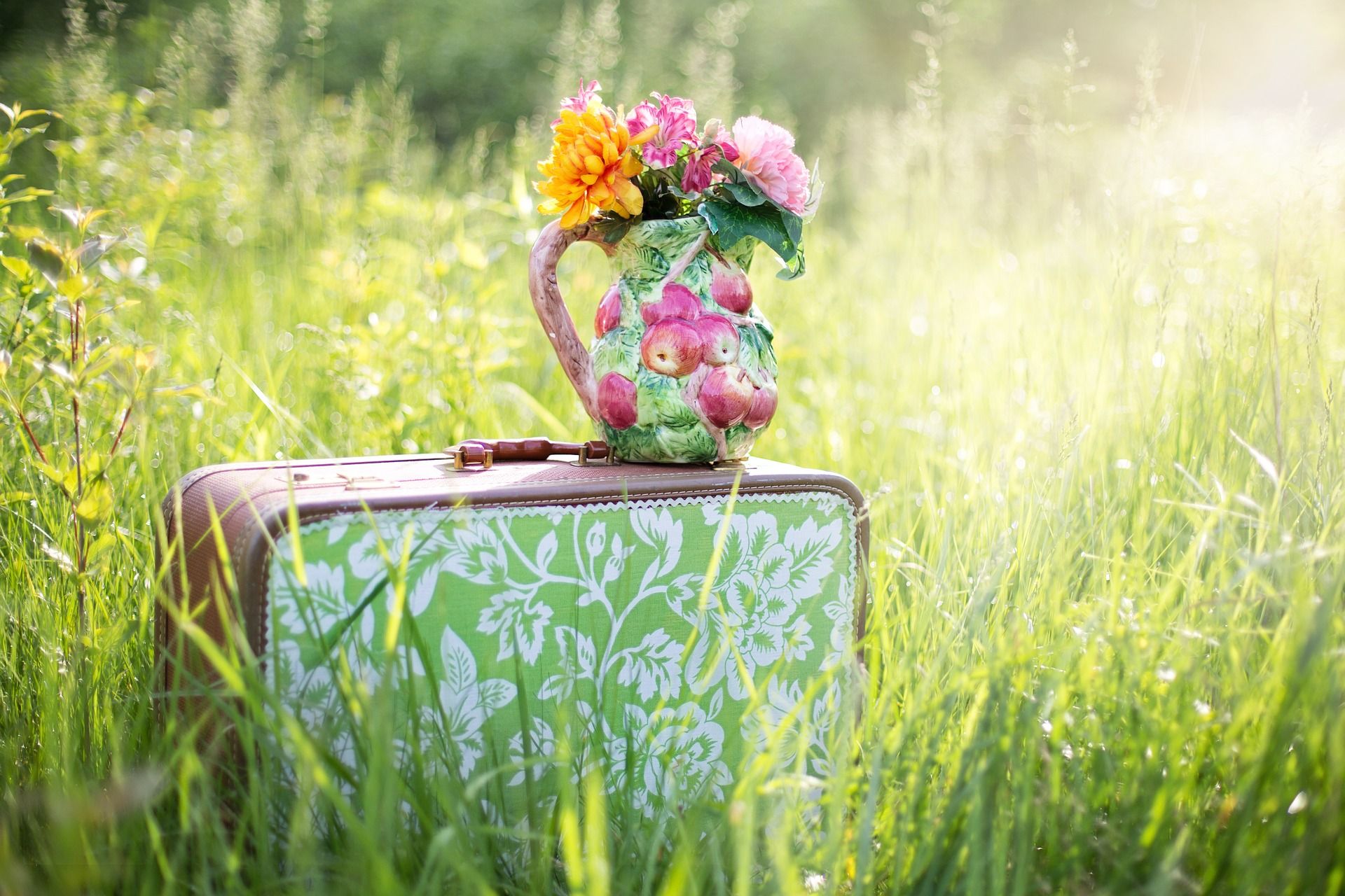 Summer Photo1