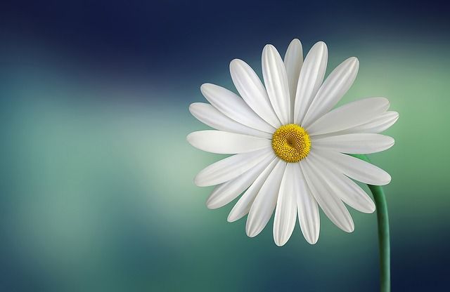 Spring2