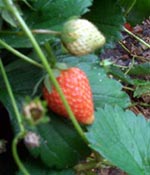 af2c6c72.jpg