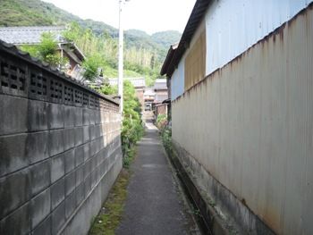 ²èÁü 061-1