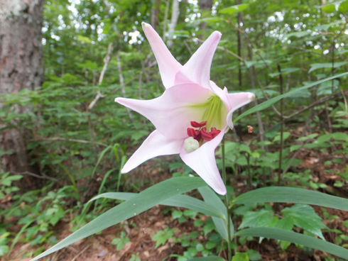 DSCF0975