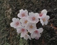 IMG_20190407_112937