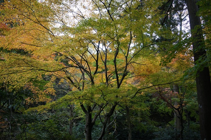 DSC03730