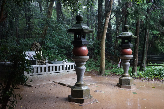 DSC01539