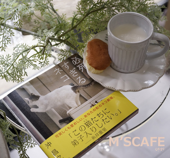 cafe0919