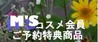 M'S��ŵ���ʥХʡ�