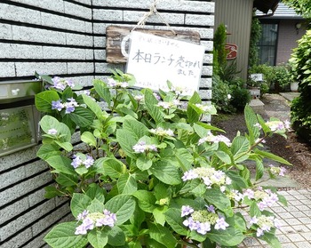 kuku14