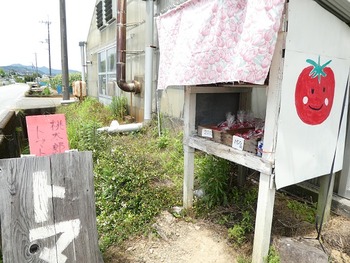 kibi8