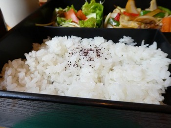 kono13