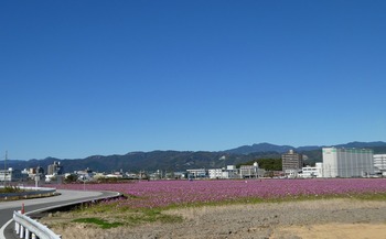 taka2