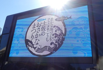 sakana1