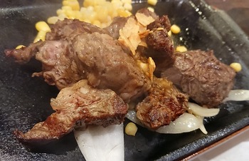 ikinari11