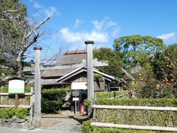 iwa3