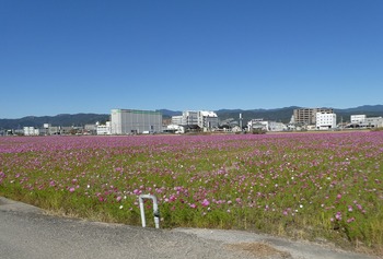 taka14