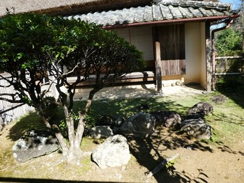 iwa6