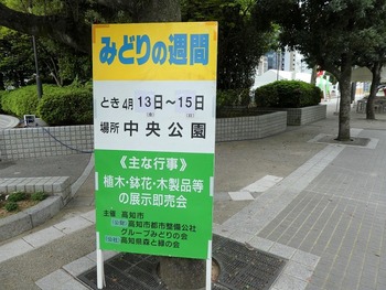 midori3