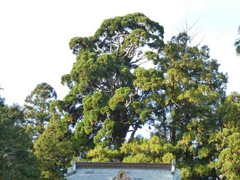 hida12