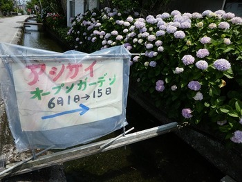 taka2