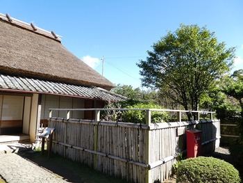 iwa11