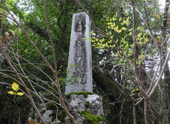 todo22