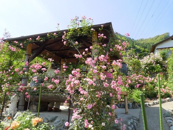 itou9