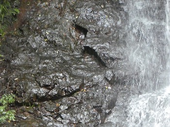 bi9