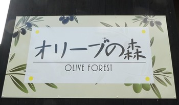 ori1