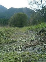 a52d2481.jpg