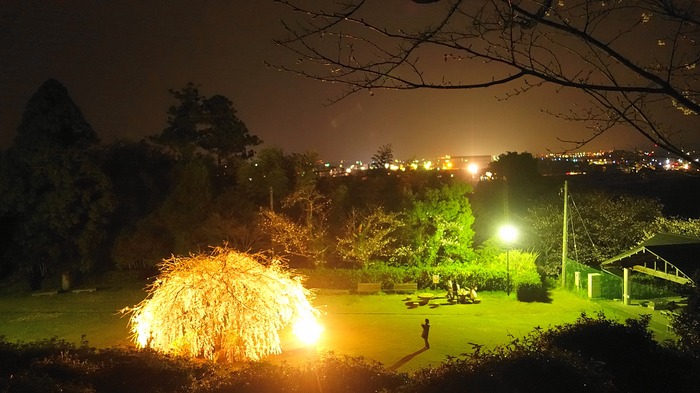 9DSC08569