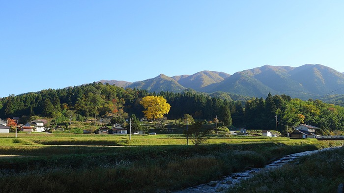 DSC02774n