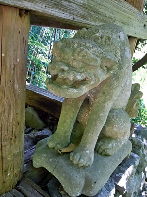 DSCN2083