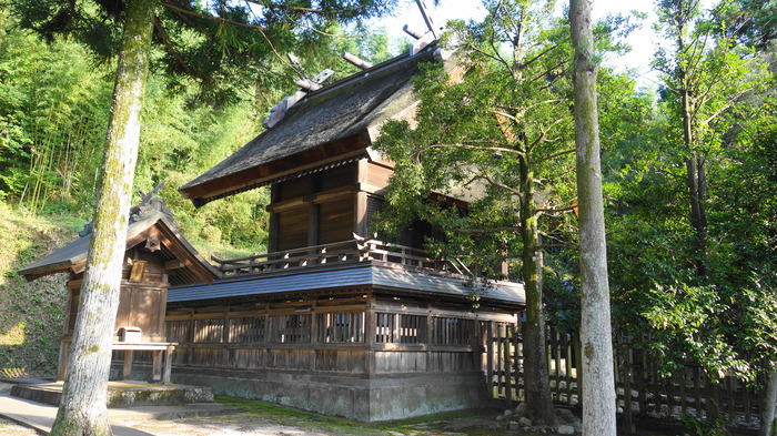 DSC01019