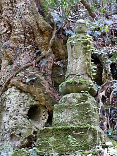 DSCN8184