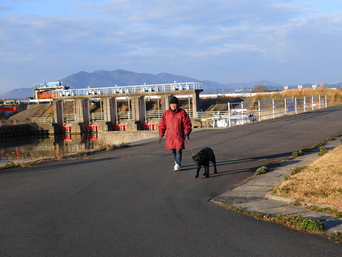 DSC00457-crop