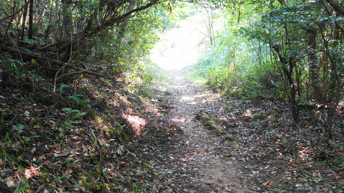 DSC00975