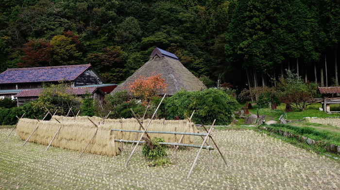 DSC05074 (1)