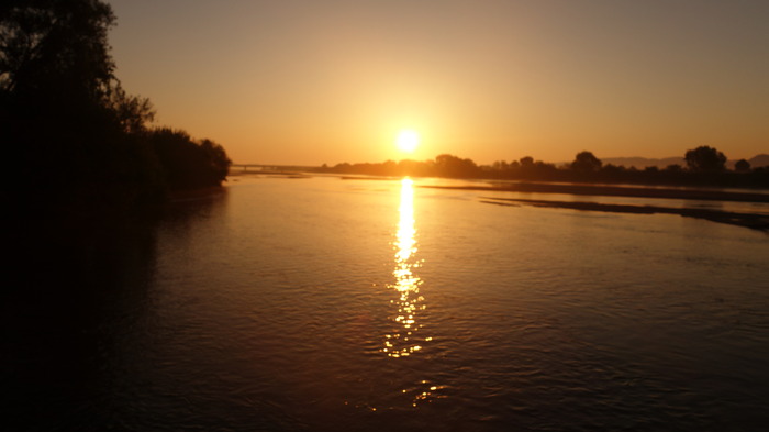11DSC01374