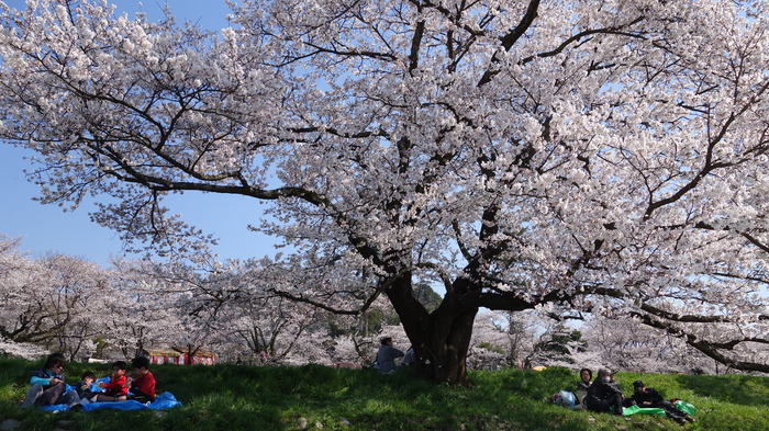 DSC02743111