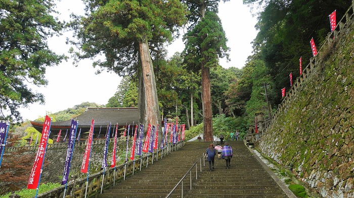 DSC02865