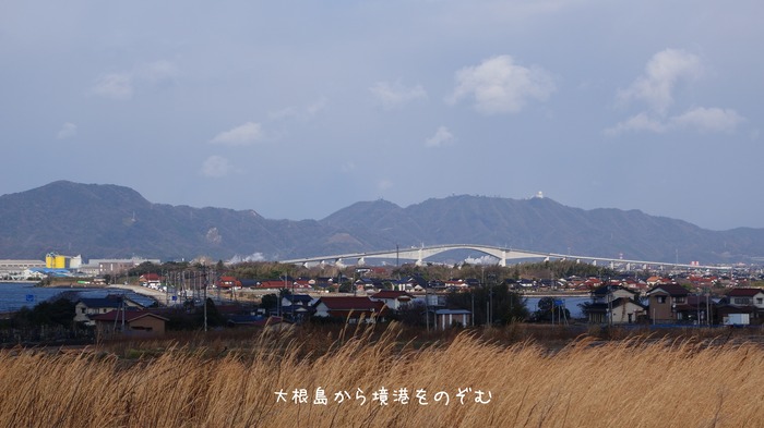 DSC05190