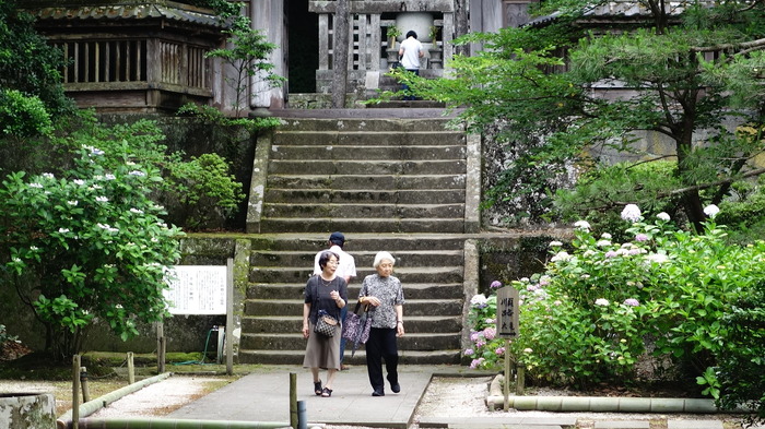 DSC00987 (1)