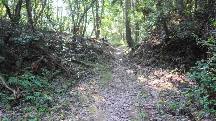 DSC00973