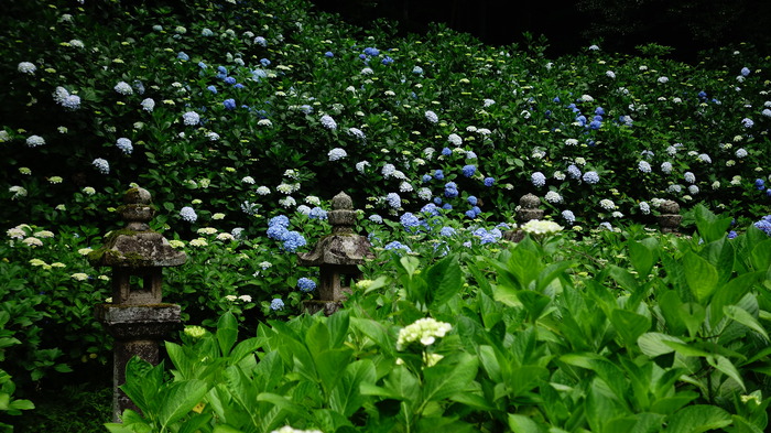 DSC01018