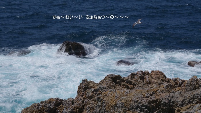 DSC05234777
