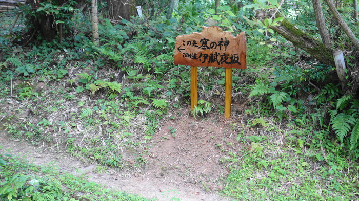 DSC00969