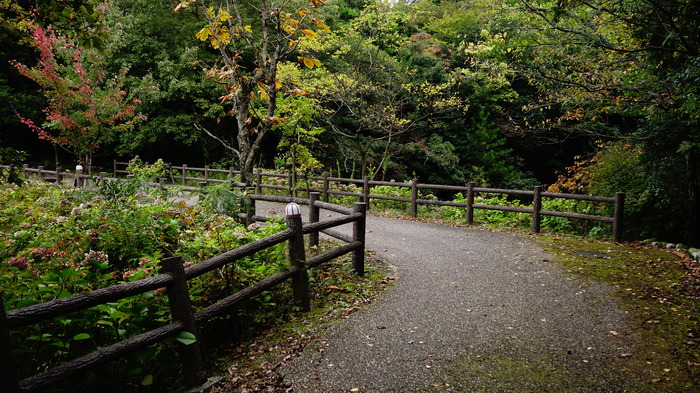 DSC05603