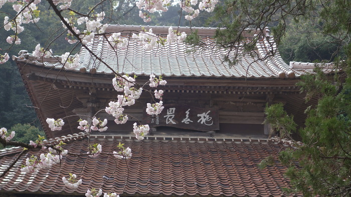 DSC03525