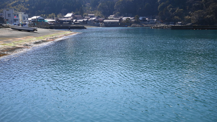 DSC07227